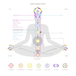 Yogic energy anatomy