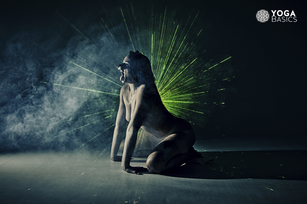 Yoga Quiz: What Animal Should you Practice Yoga with? Animal to Practice Yoga with