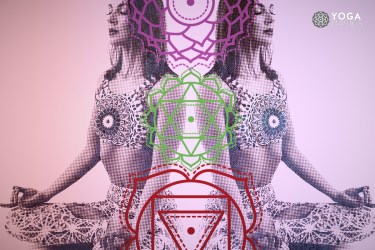 yoga chakra quiz