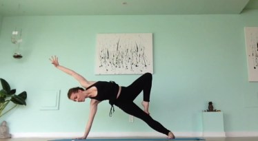 Half Moon Sequence Video