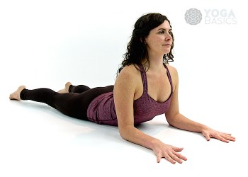 Sphinx yoga pose • salamba bhujangasana