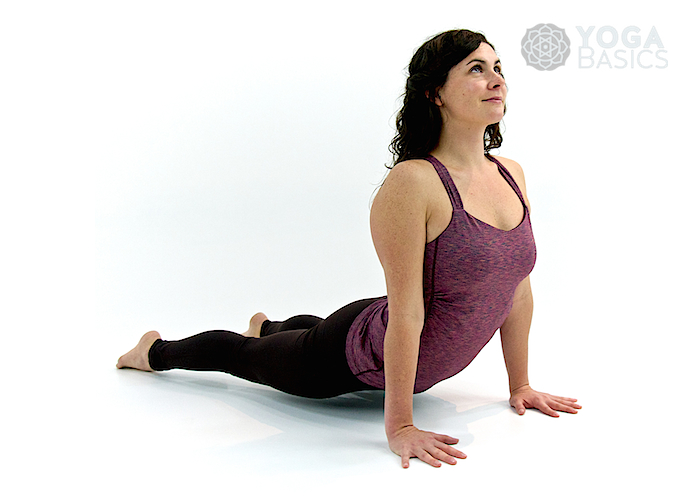 Upward Facing Dog Pose • urdhva mukha svanasana