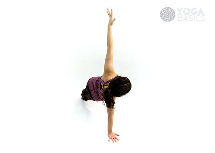 Side Plank