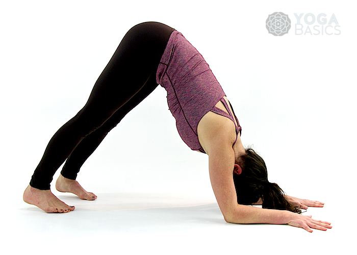Dolphin pose • Ardha Pincha Mayurasana