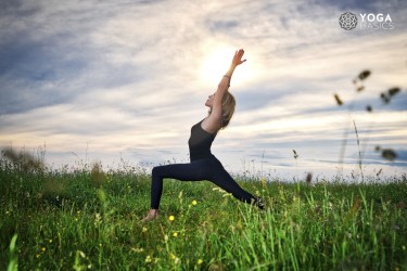 Pose of the Month: Virabhadrasana I, Warrior 1