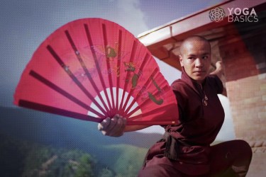 Kung Fu Nuns