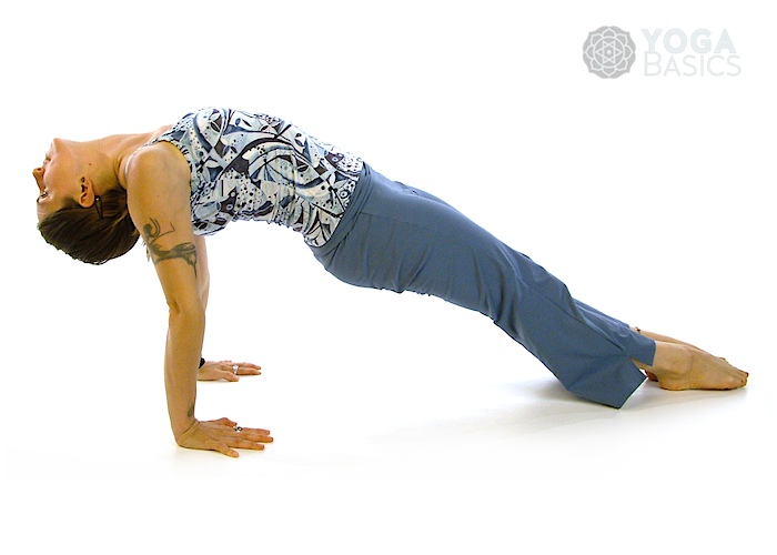 reverse plank