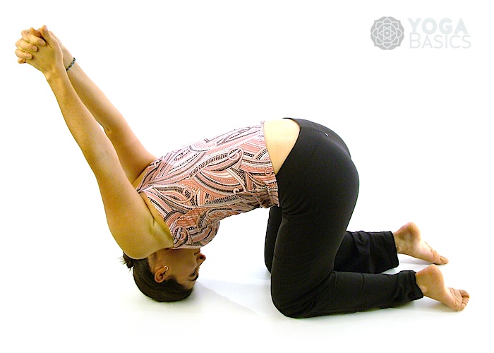 Seated Yoga Seal