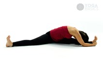 Calming Basic Sequence