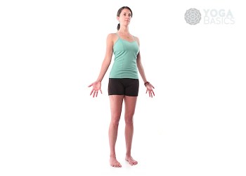 Tadasana • Mountain