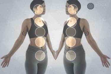 Five Vayus