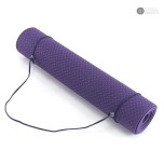 https://www.merrithew.com/shop/ProductDetail/ST02194_Ecofriendly-Mat-eggplant