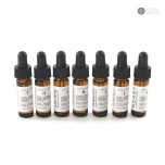 Best Yoga Oils for Beginners